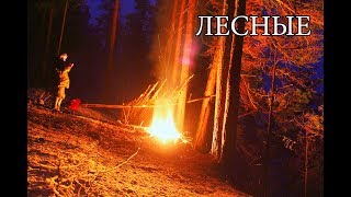 Добывание пищи охотой и рыбной ловлей презентация