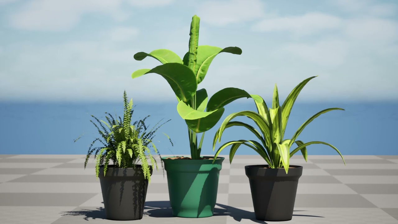 屋内の鉢植え 3Dモデル