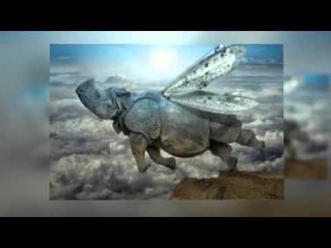 Jose M Garcia D - Sky Blue (Original Mix )