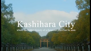 動画2