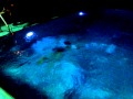 Takis Animal Pool Dance Justine S Party2014