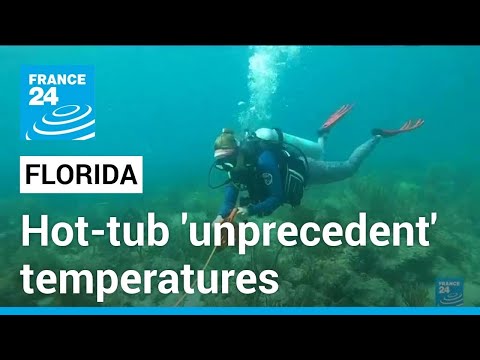 Ocean Temperature Miami Florida