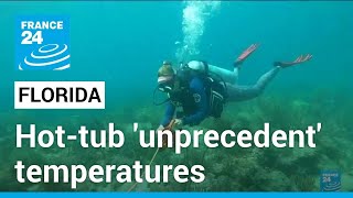 Hot-tub level: Florida ocean records 'unprecedent' temperatures • FRANCE 24 English