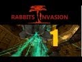 Rabbits Invasion Episode 1