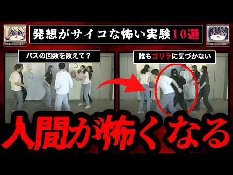 半分人間、半分猿:研究者が物議を醸すハイブリッド生物を作成