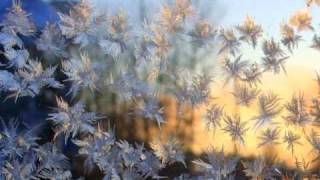 York feat. Angelina-Ice Flowers (ORIGINAL MIX)