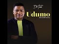 Udumo by Dr.  Tumi (Live at Pont De Val) Lyrics