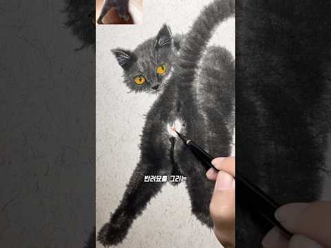 고양이의 매력 포인트를 잘 아는 미국 동양화 작가