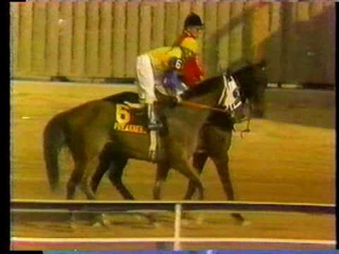 Tank's Prospect - 1985 Preakness Stakes Post Race (ABC)