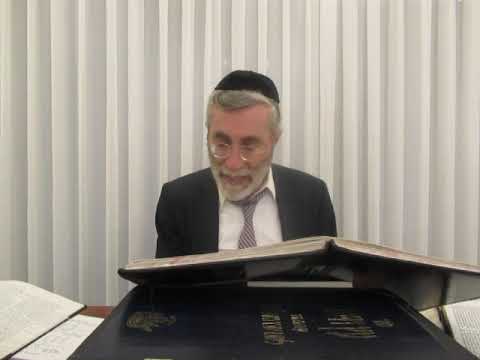 הרב יהושע ביבי - תשפ"ו - פסח - שיעור מס' 053 - שעה''כ דף פ''א ע''ג ורע''ד בד' לאות