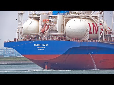 MASSIVE 300 m LONG BULK CARRIER WITH BIG LNG TANKS LEAVES ROTTERDAM PORT - 4K SHIPSPOTTING MAY 2025