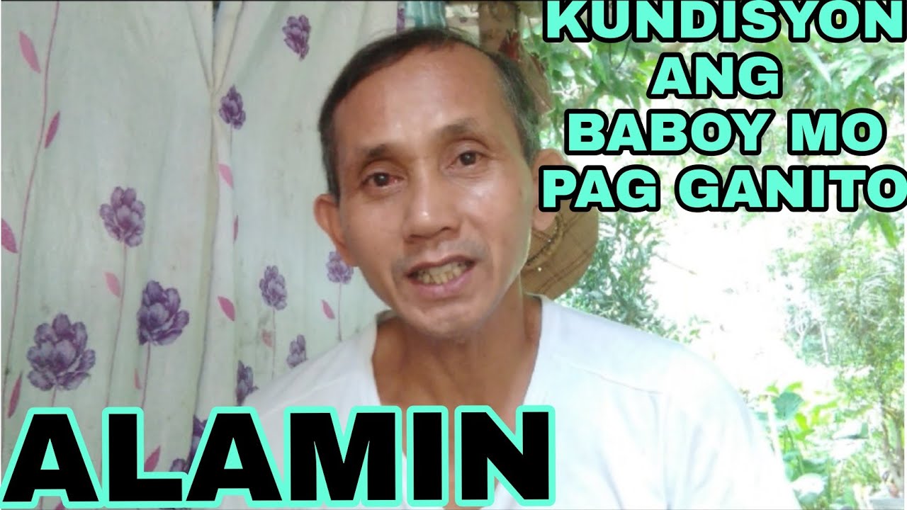 Paano mo malalaman kung nakakundisyon ang baboy | Kundisyon ang baboy mo kapag ganito ang dumi