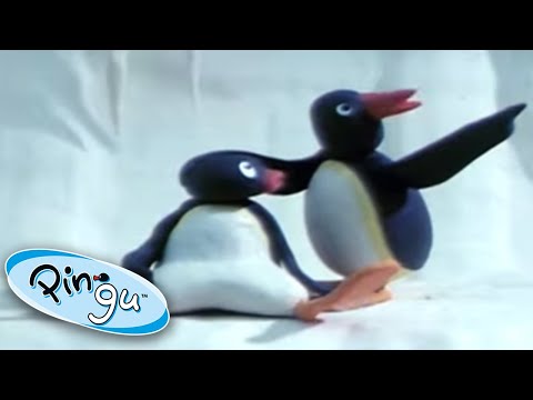 Pingu's Icy Adventure! | @Pingu | Cartoons for Kids - Kids (0-4), Kingdom Kids Zone - Pingu - Official Channel
