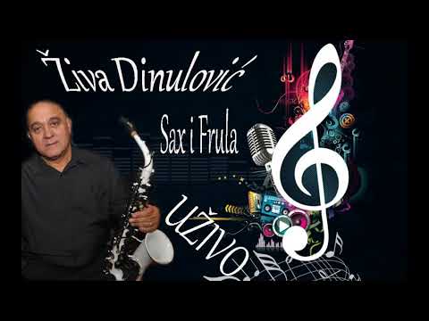 ŽIVA DINULOVIĆ (NOVO) - KOLO SAX I FRULA UŽIVO