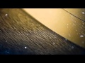 4 - Firm Roots - Silent Poets [HD]