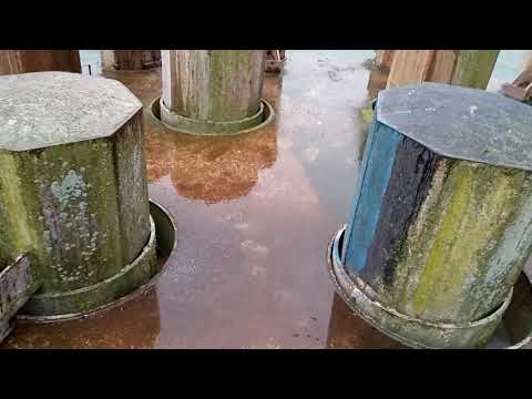 Lost Place Stillgelegter Fähranleger mitten im Stadthafen Sassnitz Rügen ( Glasbahnhof )