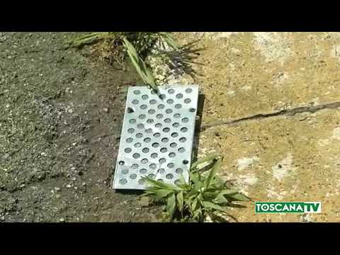 2018-06-15 FIRENZE - MORTE DUCCIO, GIP, ARRESTATI SAPEVANO POTER UCCIDERE