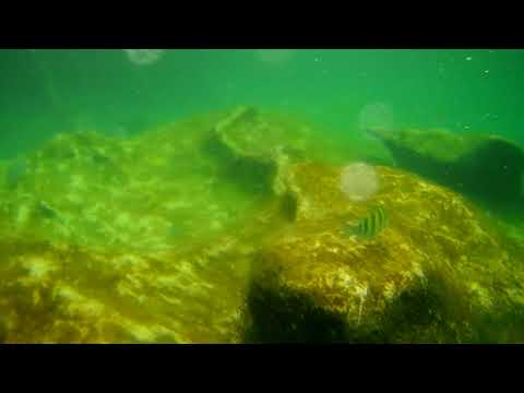 2021 1201 113508 085