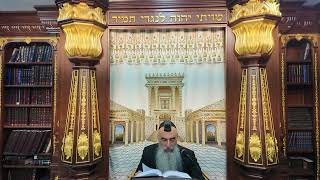 הרב מאיר דוד שמואלי - הלכות שבת שולחן ערוך סימן רס"ג סעיף ו'