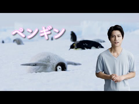 マイナーユーディプトゥラ