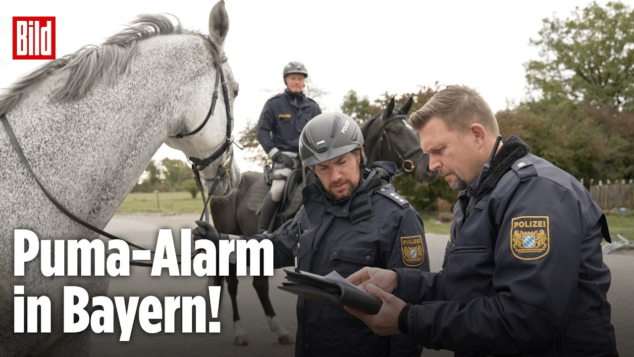 LANDKREIS ERDING: Jetzt sucht die Reiterstaffel nach dem Puma!