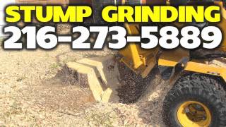 preview picture of video 'STUMP GRINDING SHEFFIELD LAKE OHIO | STUMP GRINDING | (216) 273-5889'