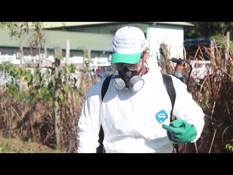Environmental Impact