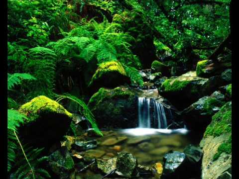 Meditation - Secret Waterfall