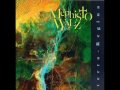 mephisto walz aegis 