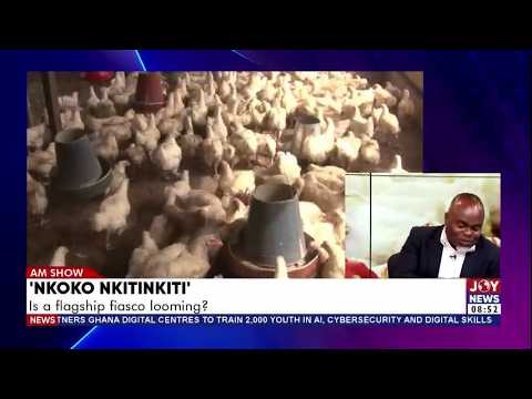 Eggs Don't Mean Success: Critics Tear Into 'Nkoko Nkintikiti' | Matters Arising