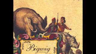 Bigwig - Who Am I to Say?