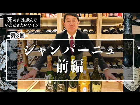 シャンパーニュ城について詳しく解説