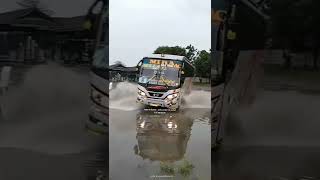 Download lagu story wa bus mira 'bella reborn' mp3 Download lagu story wa bus mira 'bella reborn' mp3