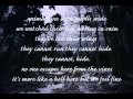 Numb As The Winter - Chelsea Wolfe (lyrics ...