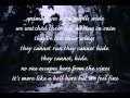 Numb As The Winter - Chelsea Wolfe (lyrics) 