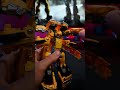 This Bumblebee Make Me Crazy
