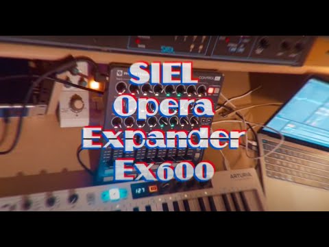 Siel Opera / DK600 Expander RARE + Tauntek mod (SERVICED) image 22
