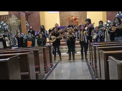 Vive Jesus. Versión Estudiantina Nueva Ilusión.