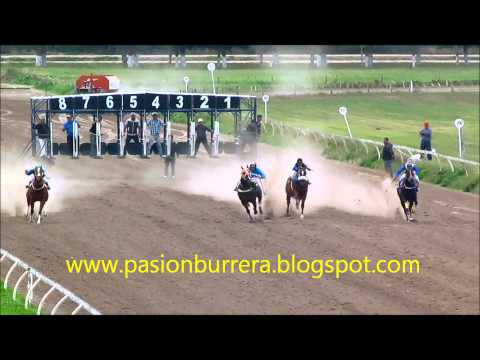 2° Serie Clasificatoria Polla Haras Don Taco: Ironia Dash, Va Dolores (18-05-14)