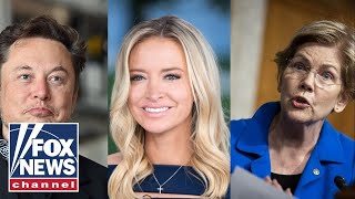 Kayleigh McEnany: Wokeism is a very powerful drug