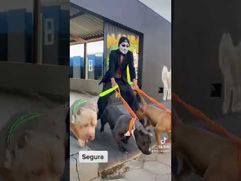 Só os brabo aqui no bkb