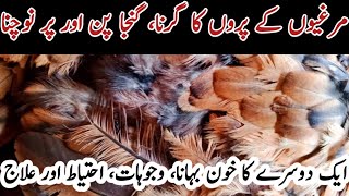 Chicken Feather Loss, Cause and Cure | Why Chickens Lose Feathers and How to Cure it | Dr ARSHAD