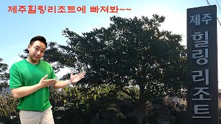 영상 4 썸네일