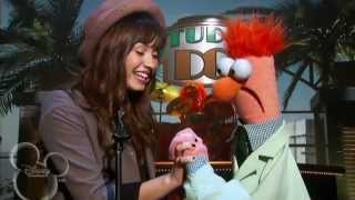 Demi Lovato's Old Vid 2008: Beaker Was 'Meeping' The Song "This is Me"
