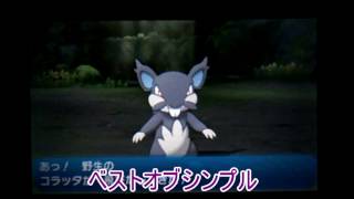 ゆっくり実況ポケモンにわかが行くポケモンサンムーンパート６