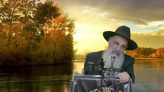 הרב מאיר דוד שמואלי - זה מעכב את מלך המשיח