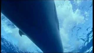 Syd Barret - Late Night