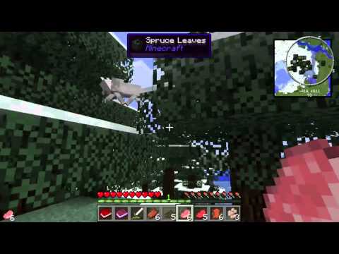 Zu Gast in der Minecraft WG (8. Gastauftritt) - Doppelte Maps - 3. Folge