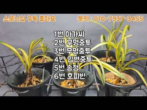 유튜브 썸네일