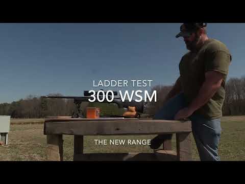 ADG 300 WSM Brass/Ladder Test